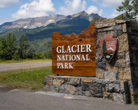 Glacier National Park Bear Attack Suspected After Missing Hiker Found Dead On Mount Brown Trail