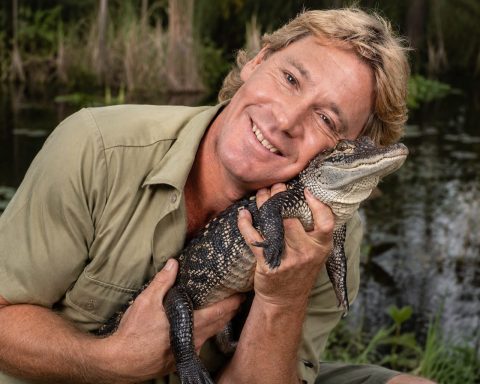 Robert Irwin Says 14-Foot Crocodile Named Jimmy Fallon Death-Rolled Him: What Happened